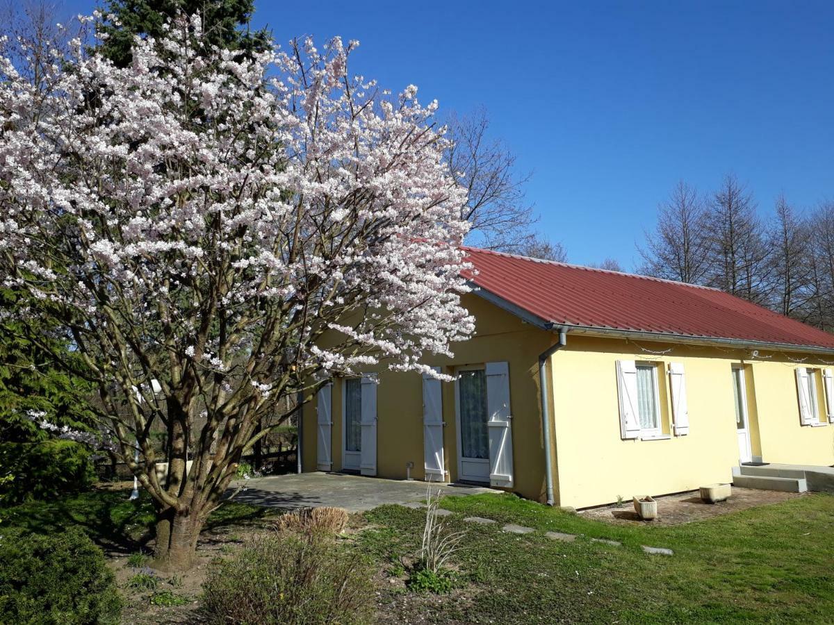 Maison De Manon 일라우제른 외부 사진